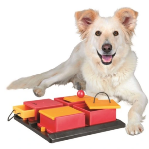 Jouet éducatif pour chien (Poker Box 1) TX-32012