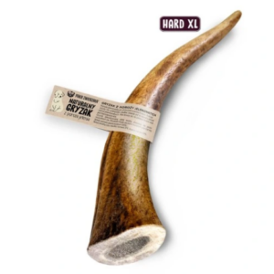 Pet Pack Anneau de dentition Bois de cerf HARD XL 18cm